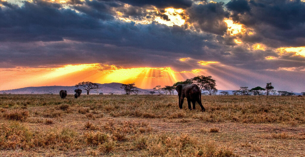 Lobo Area in the Northern Serengeti