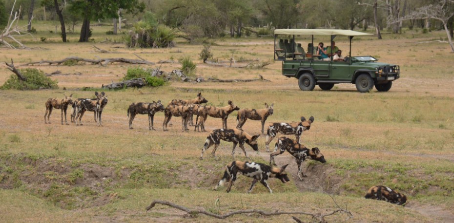 History of Nyerere National Park 