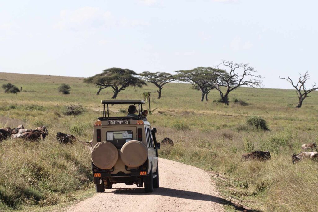 Lobo Area in the Northern Serengeti