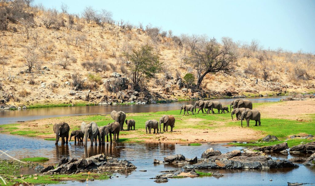 Best Time to Visit Ruaha National Park