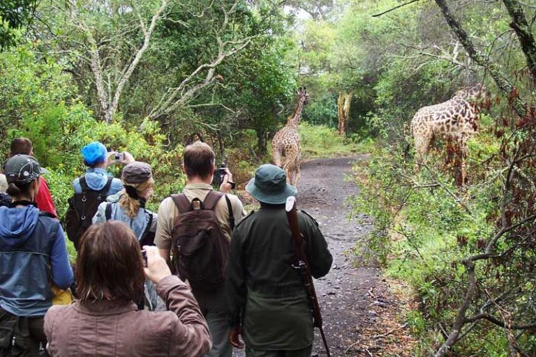 1 day perfect walking safaris Arusha National Park