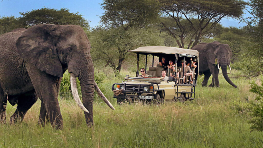 7 day safari in the Serengeti, Ngorongoro and Tarangire 2025