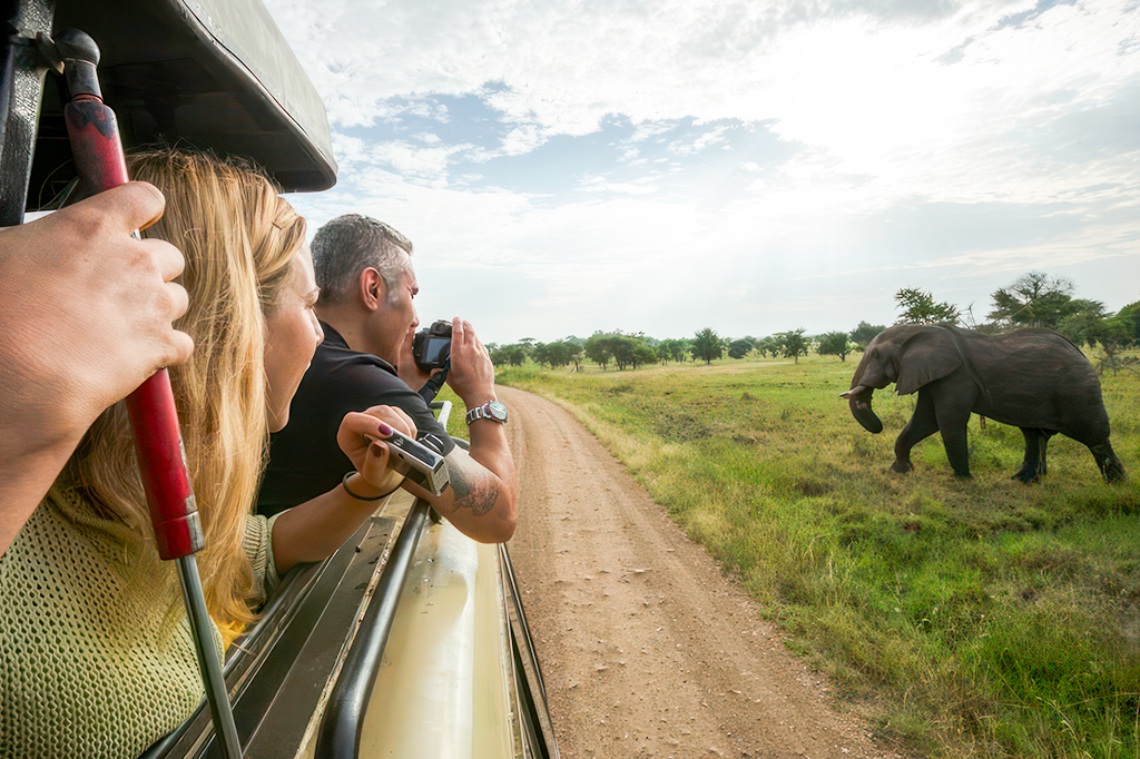 Things to do in Saadani National Park