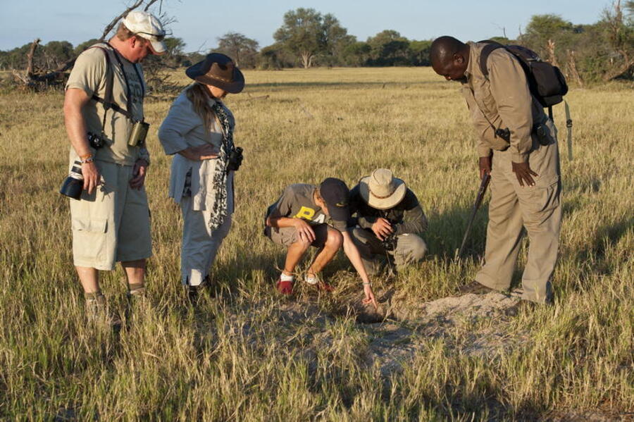 Things to do in Saadani National Park