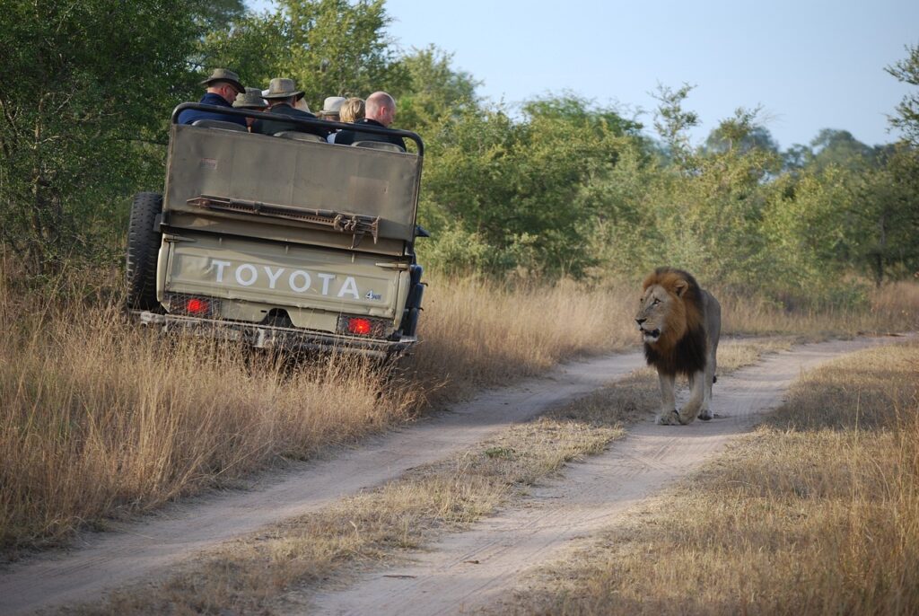 8 days Mikumi ,Nyerere and Ruaha National Park Wildlife Safaris 