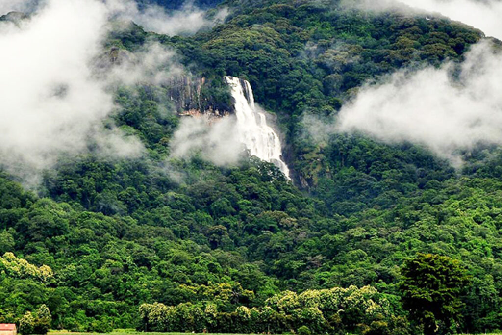 Udzungwa Mountains National Park